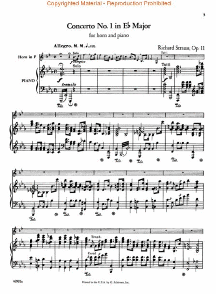Concerto No. 1 in E Flat Major, Op. 11 Orchestra scores gallery preview page 2
