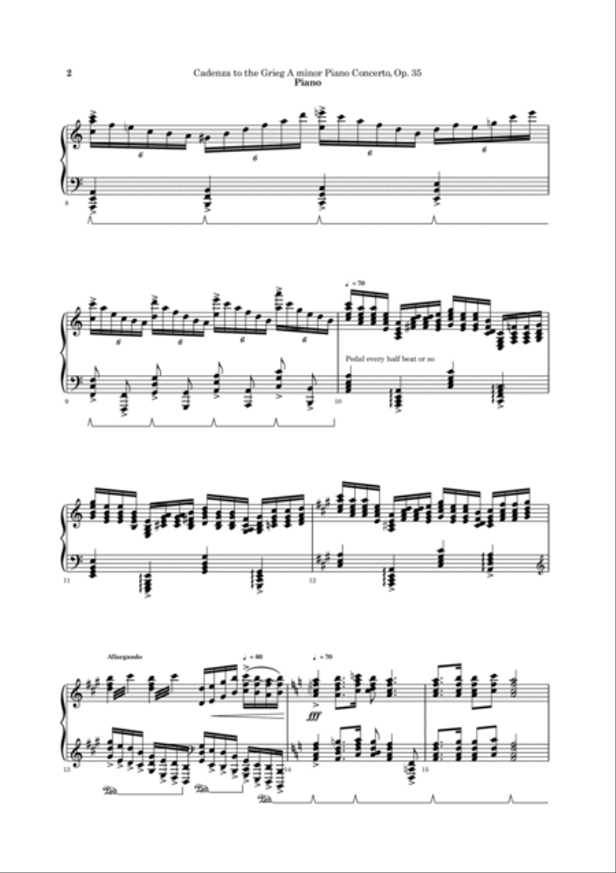 New Cadenza to the Grieg Piano Concerto in A minor Piano Solo scores gallery preview page 3