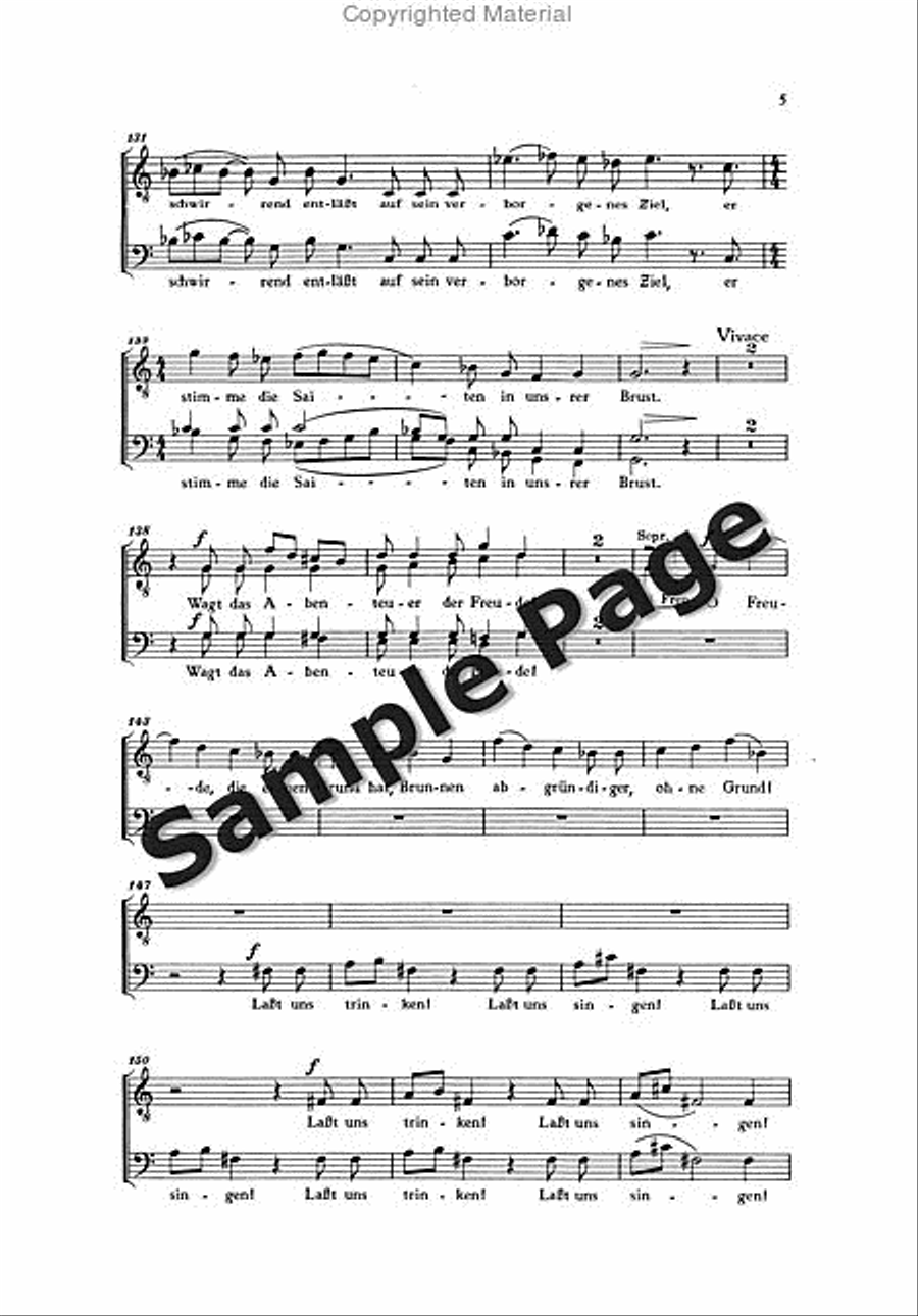 Vom Abenteuer Der Freude Score SSATBB scores gallery preview page 6
