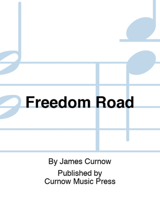 Book cover for Freedom Road