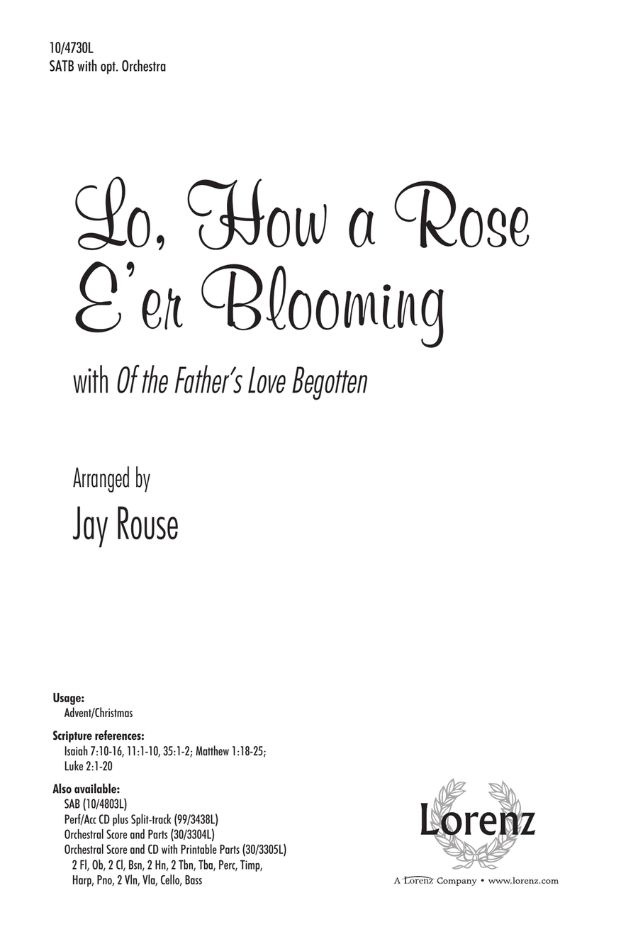 Lo, How a Rose E'er Blooming