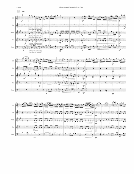 Allegro Vivace - Concerto in G for Flute - set for woodwind quintet image number null