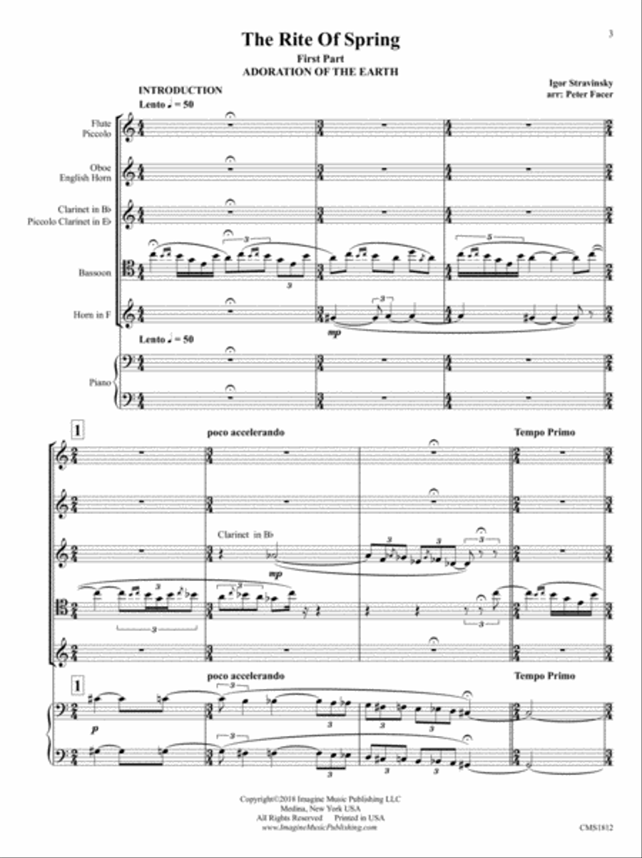 The Rite of Spring Woodwind Quintet scores gallery preview page 4