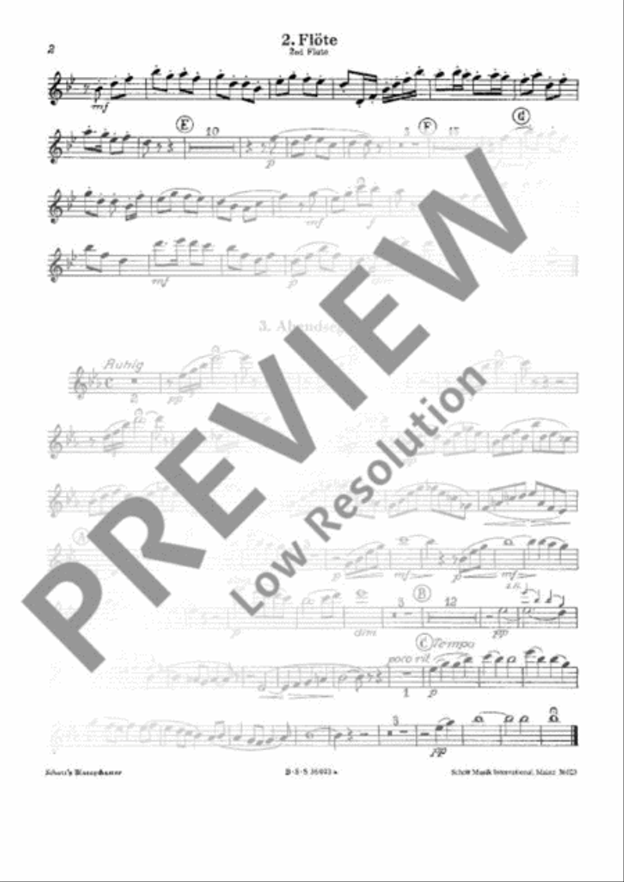 Hansel and Gretel Concert Band scores gallery preview page 14