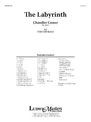 Book cover for The Labyrinth