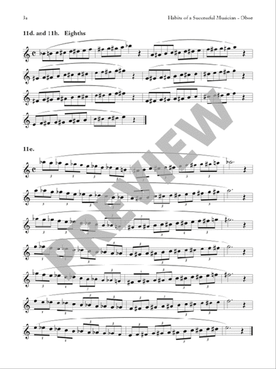 Habits of a shop successful musician flute