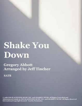 Book cover for Shake You Down