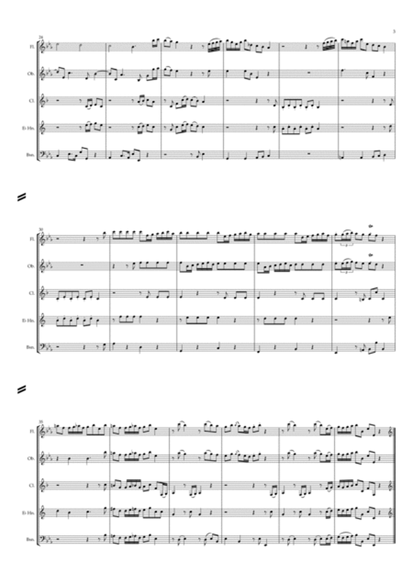 Leopold Mozart: Sinfonia Burlesca - wind quintet image number null