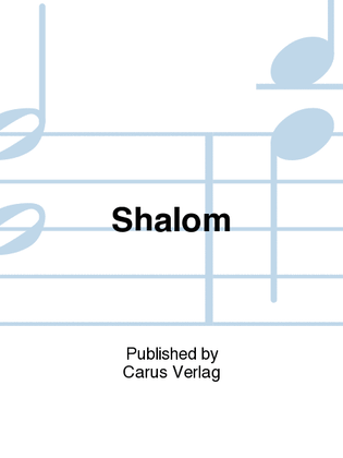 Book cover for Shalom