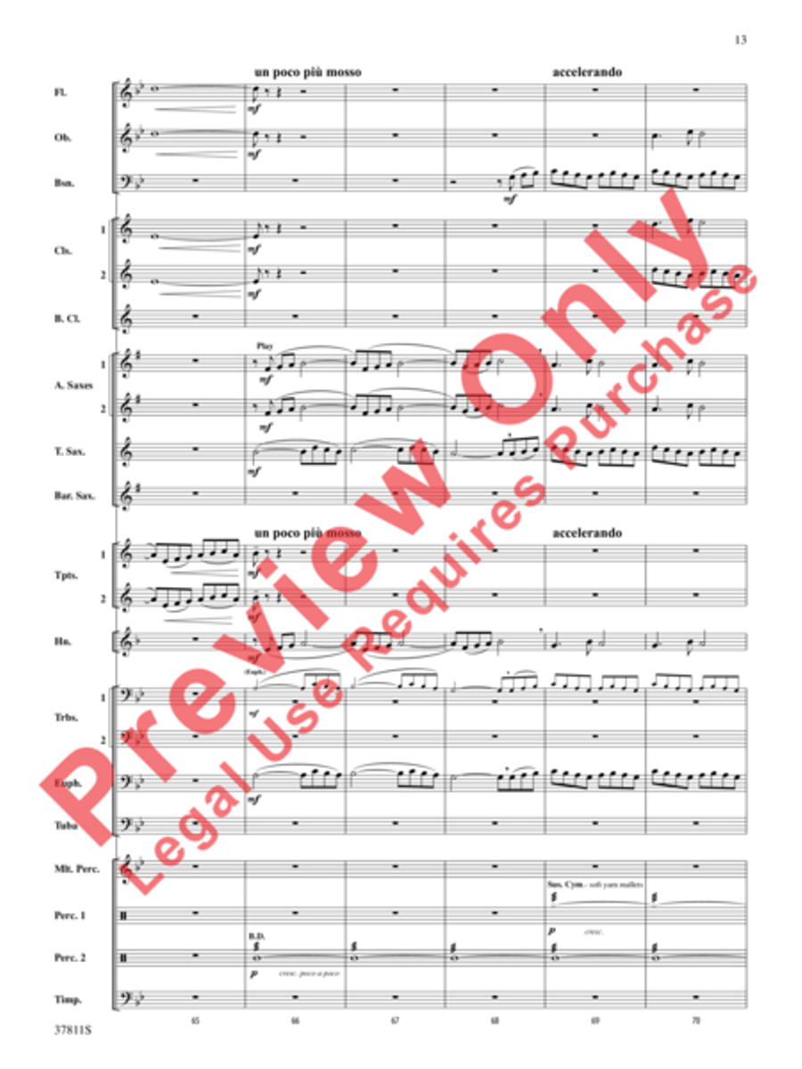 Desperate Pursuit Concert Band scores gallery preview page 14