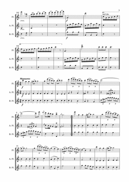 Divertimento trio arr. Concert flute, Alto flute and Bass flute image number null