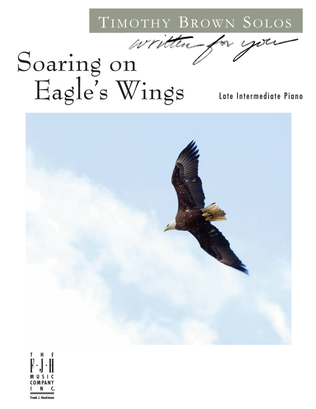 Book cover for Soaring on Eagle's Wings