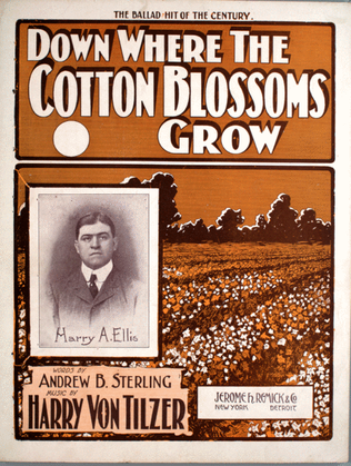 Down Where The Cotton Blossoms Grow