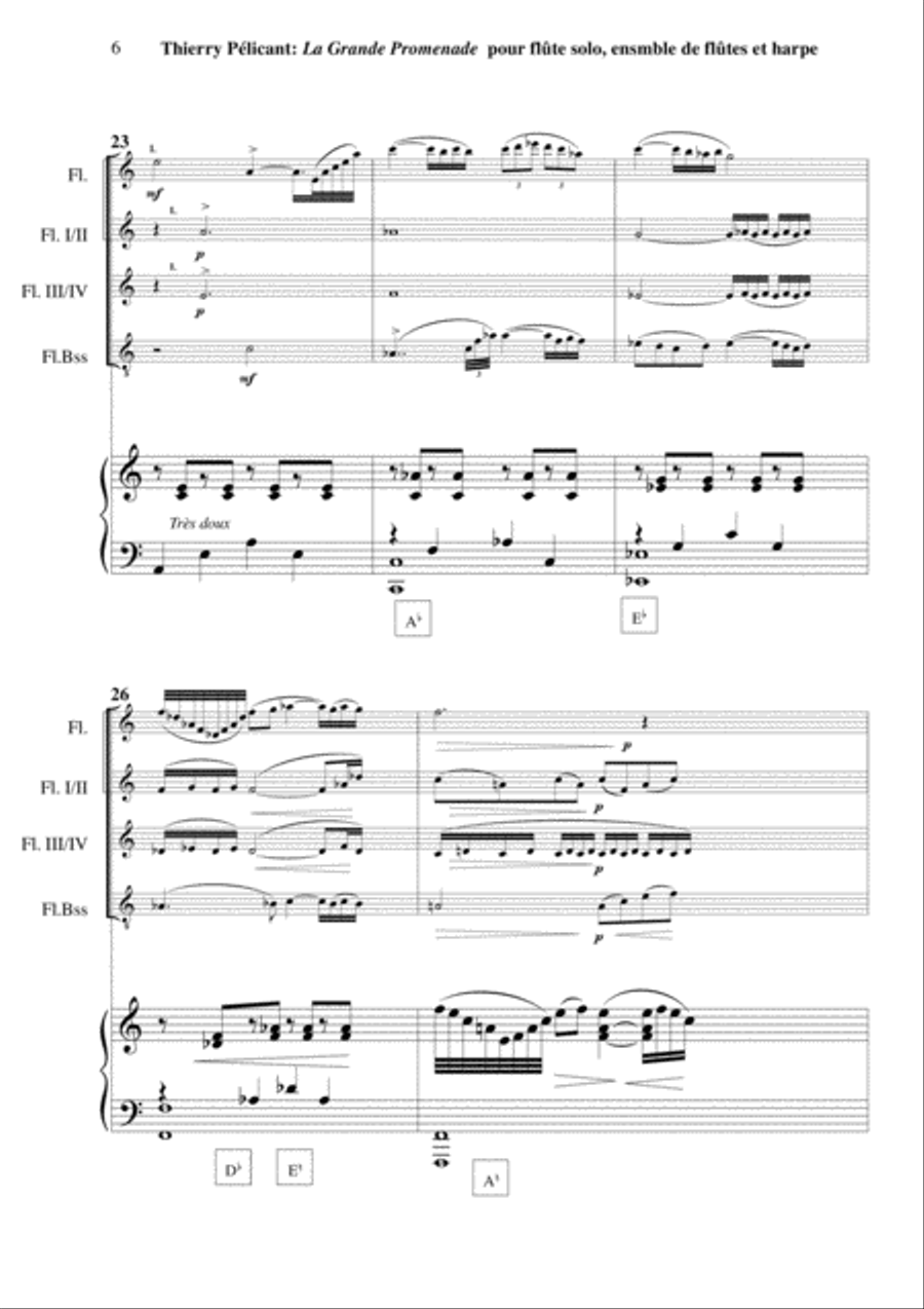 Thierry Pélicant: La Grande Promenade for solo flute, flute ensemble and harp Flute Solo scores gallery preview page 6