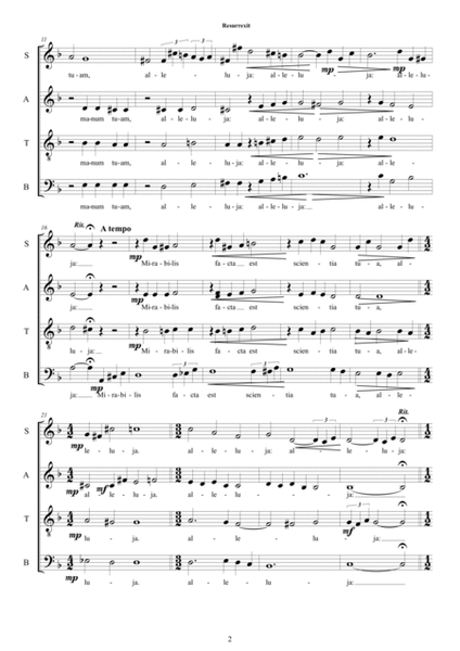 Resurrexi - Sacred Chant for Choir SATB a cappella image number null