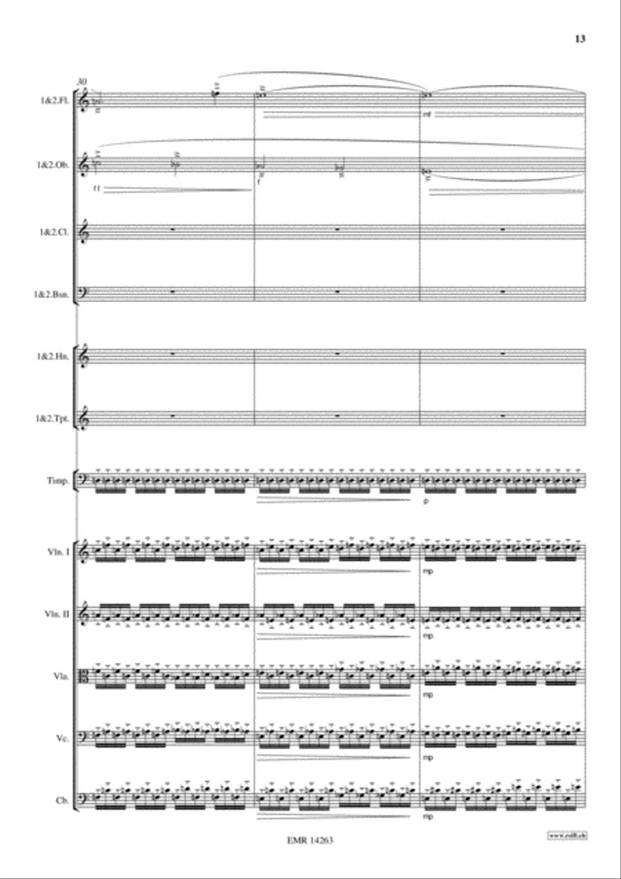 Sinfonietta Festive Sinfonietta Festive Orchestra scores gallery preview page 13