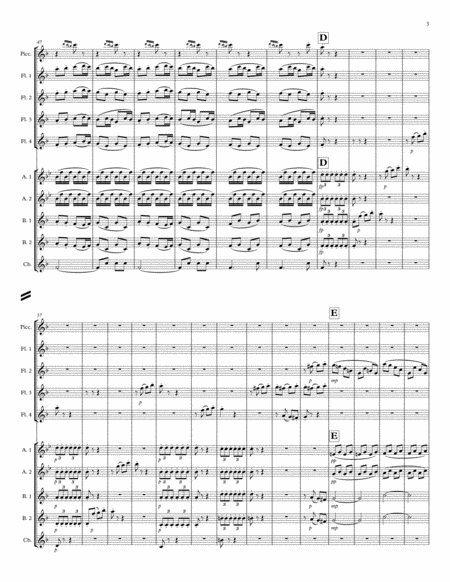 Symphony No. 6 "Pastorale" Mvt 1 for Flute Choir image number null