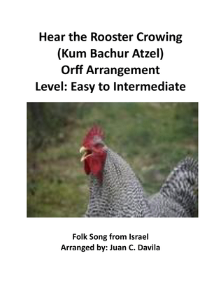 Hear the Rooster Crowing (Kum Bachur Atzel)