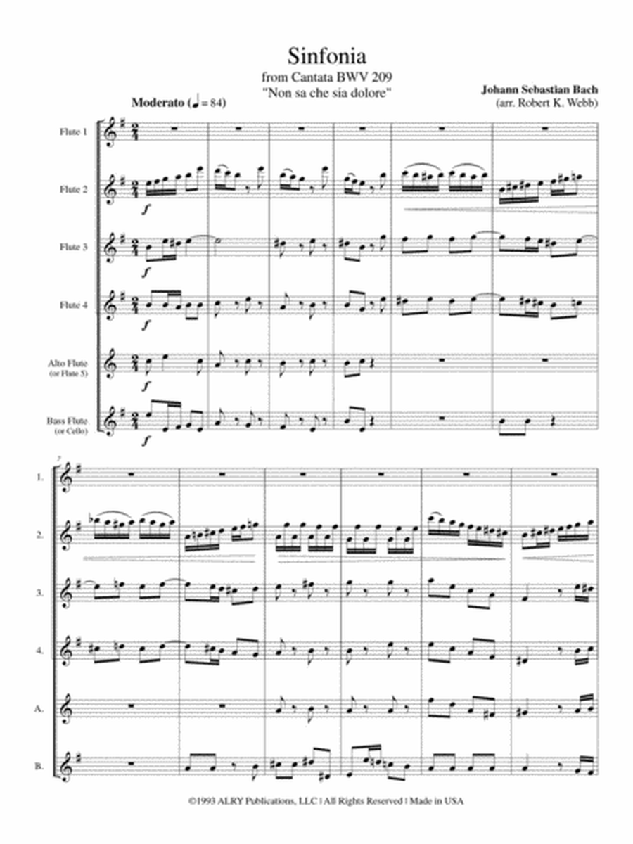 Sinfonia (from Non sa che sia dolore) for Flute Choir image number null