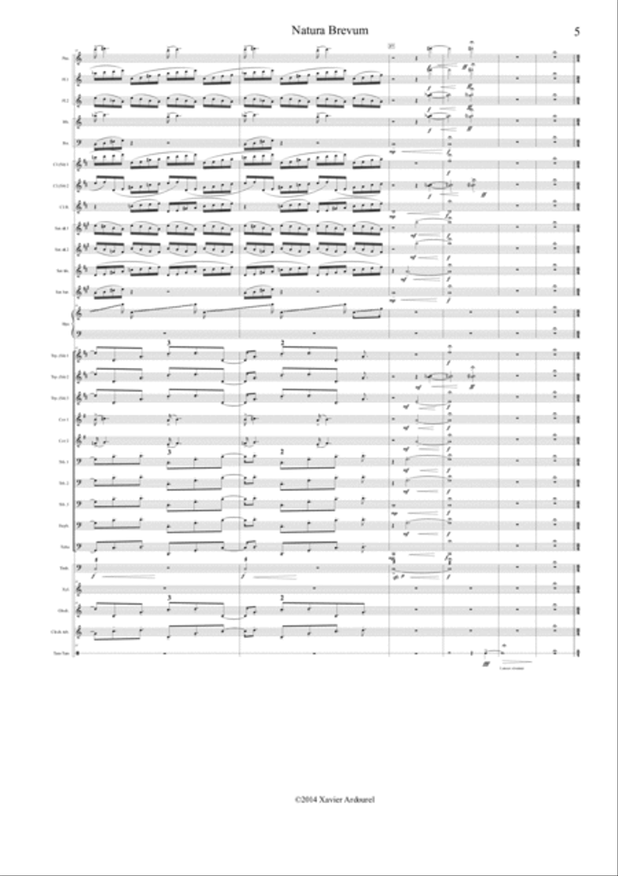 NATURA BREVUM NATURA BREVUM Concert Band scores gallery preview page 5