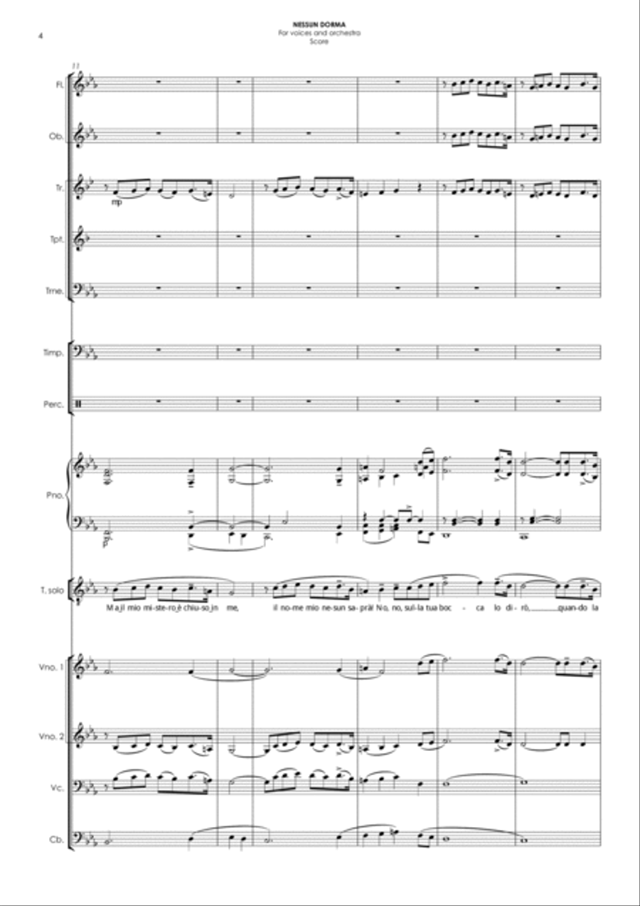 NESSUN DORMA (in Eb) - for voices & orchestra Chamber Orchestra scores gallery preview page 4