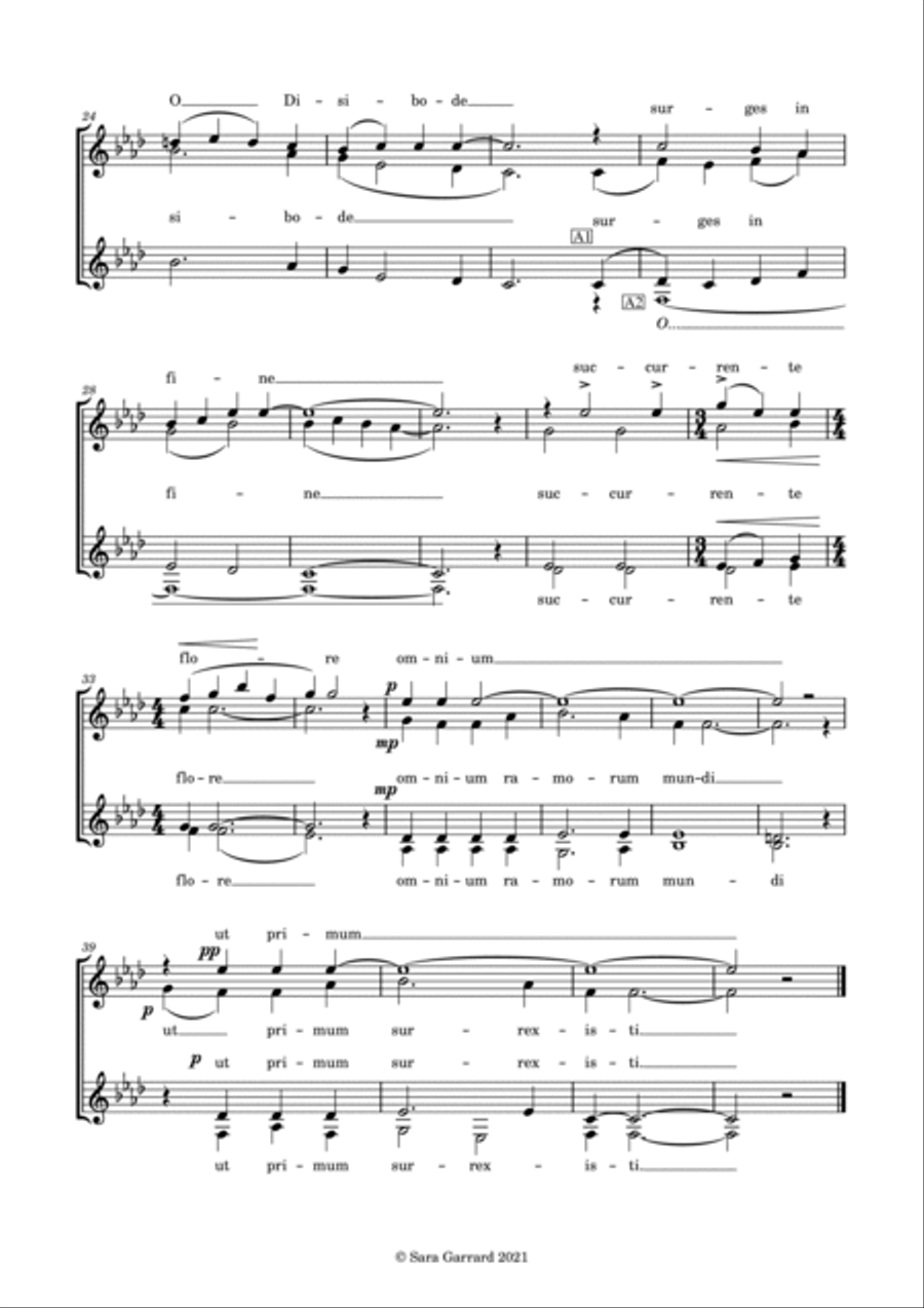 Four Hildegard Texts (SSAA) SSAA scores gallery preview page 5