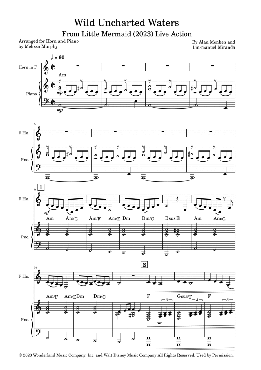 Wild Uncharted Waters Horn scores gallery preview page 1