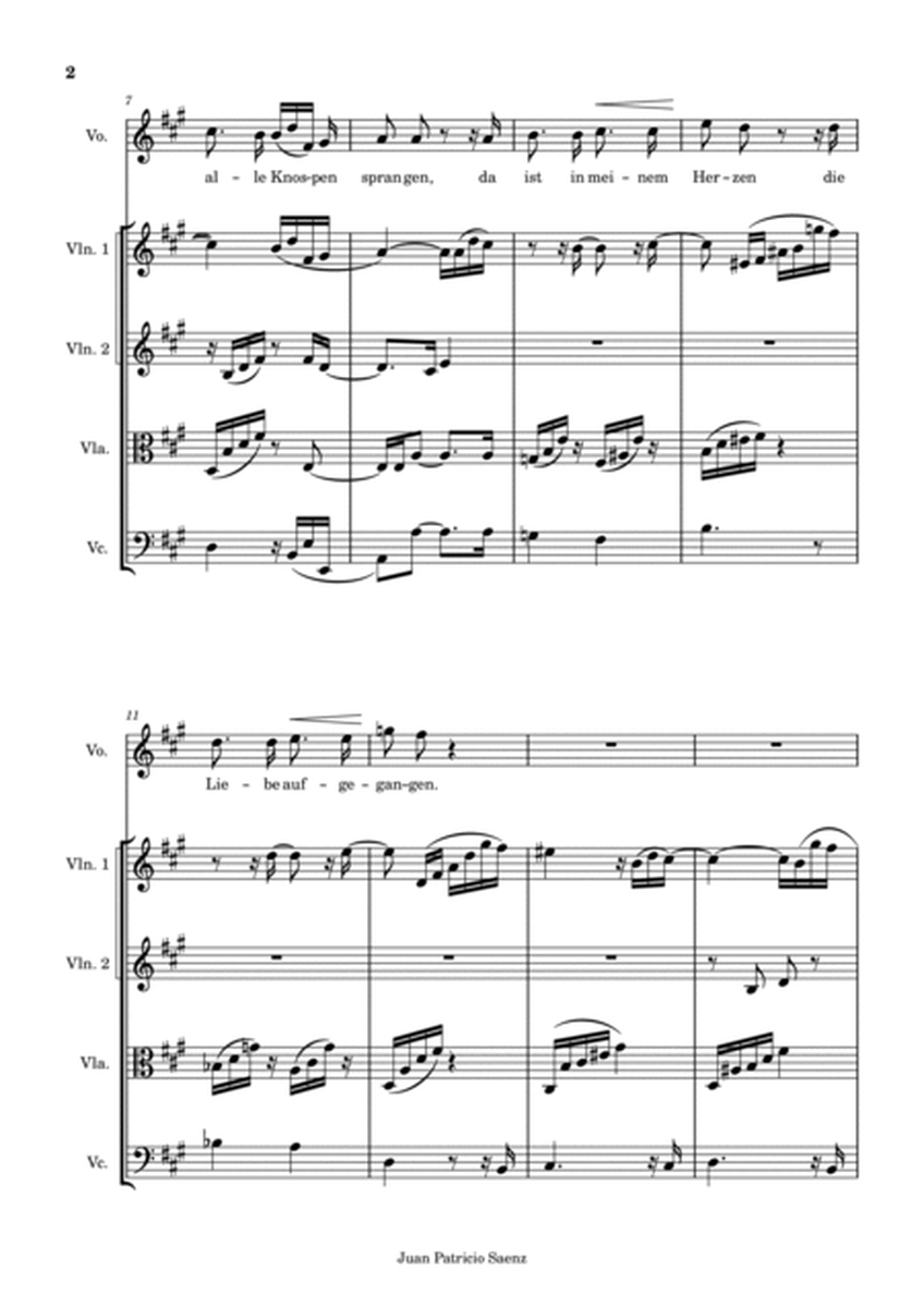 Robert Schumann - Dichterliebe Op.48 No.1 - Im wunderschönen Monat Mai - String quartet arrangement