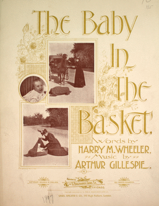 Book cover for The Baby in the Basket