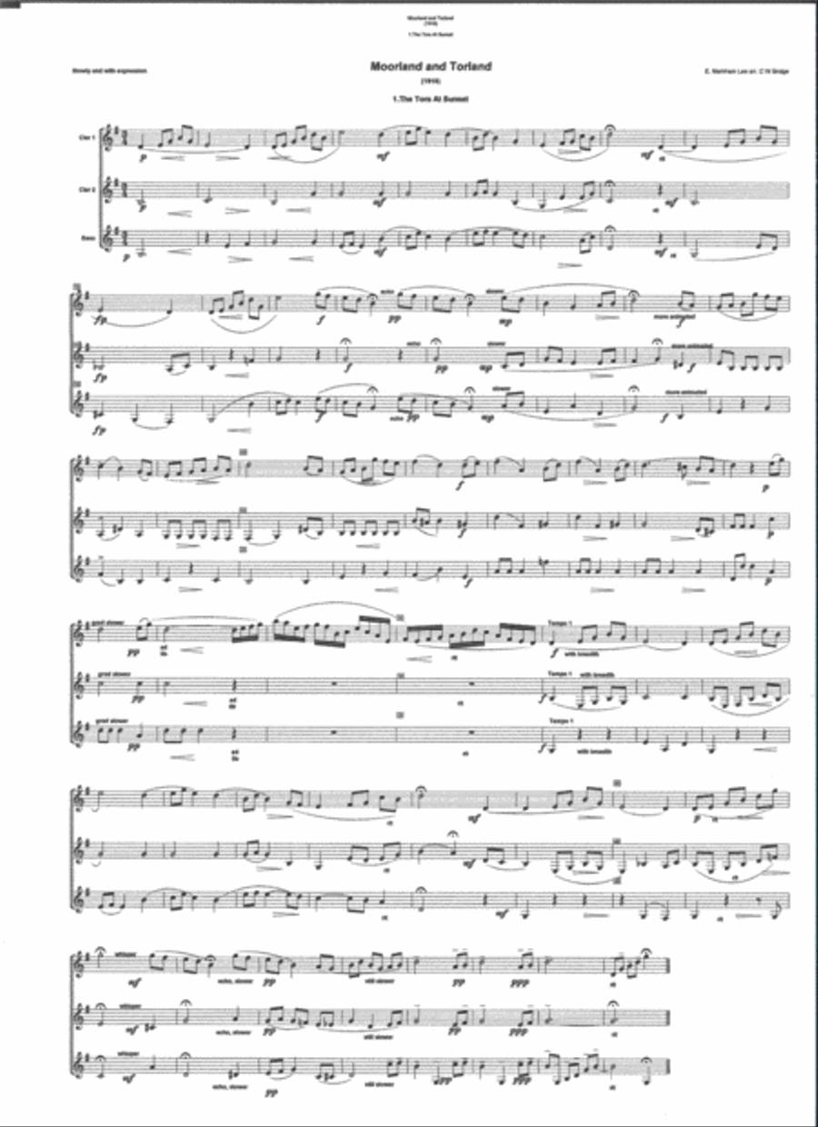 Morland and Torland (1916) by Ernest Markham Lee for Clarinet Trio (2 Bb & Bass) Clarinet Trio scores gallery preview page 2
