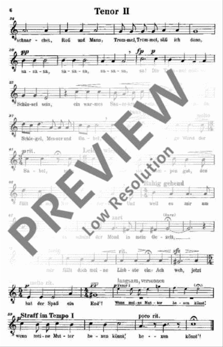 Mörike-Zyklus Mörike-Zyklus TTBB scores gallery preview page 7