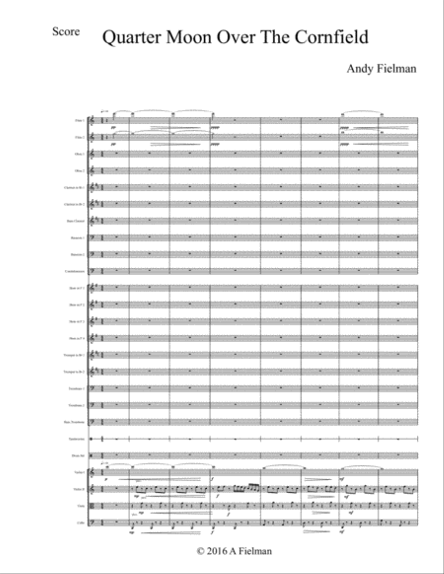 Quarter Moon Over The Cornfield Chamber Orchestra scores gallery preview page 1