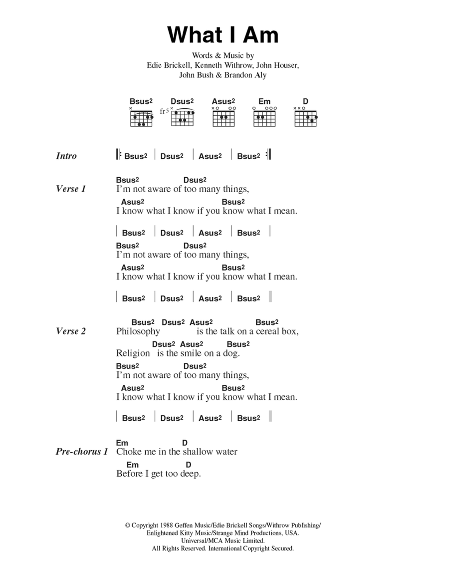 What I Am Guitar scores gallery preview page 1