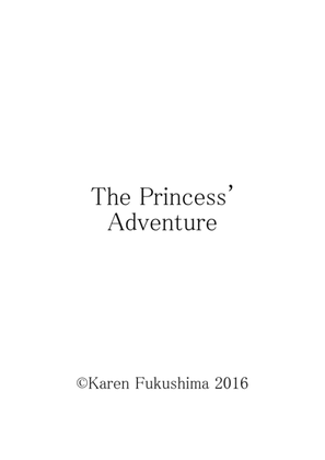 Book cover for The Princess' Adventure