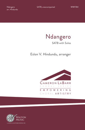 Book cover for Ndangero