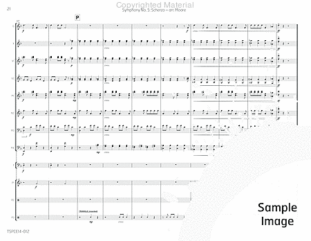 Symphony No. 5: Scherzo image number null