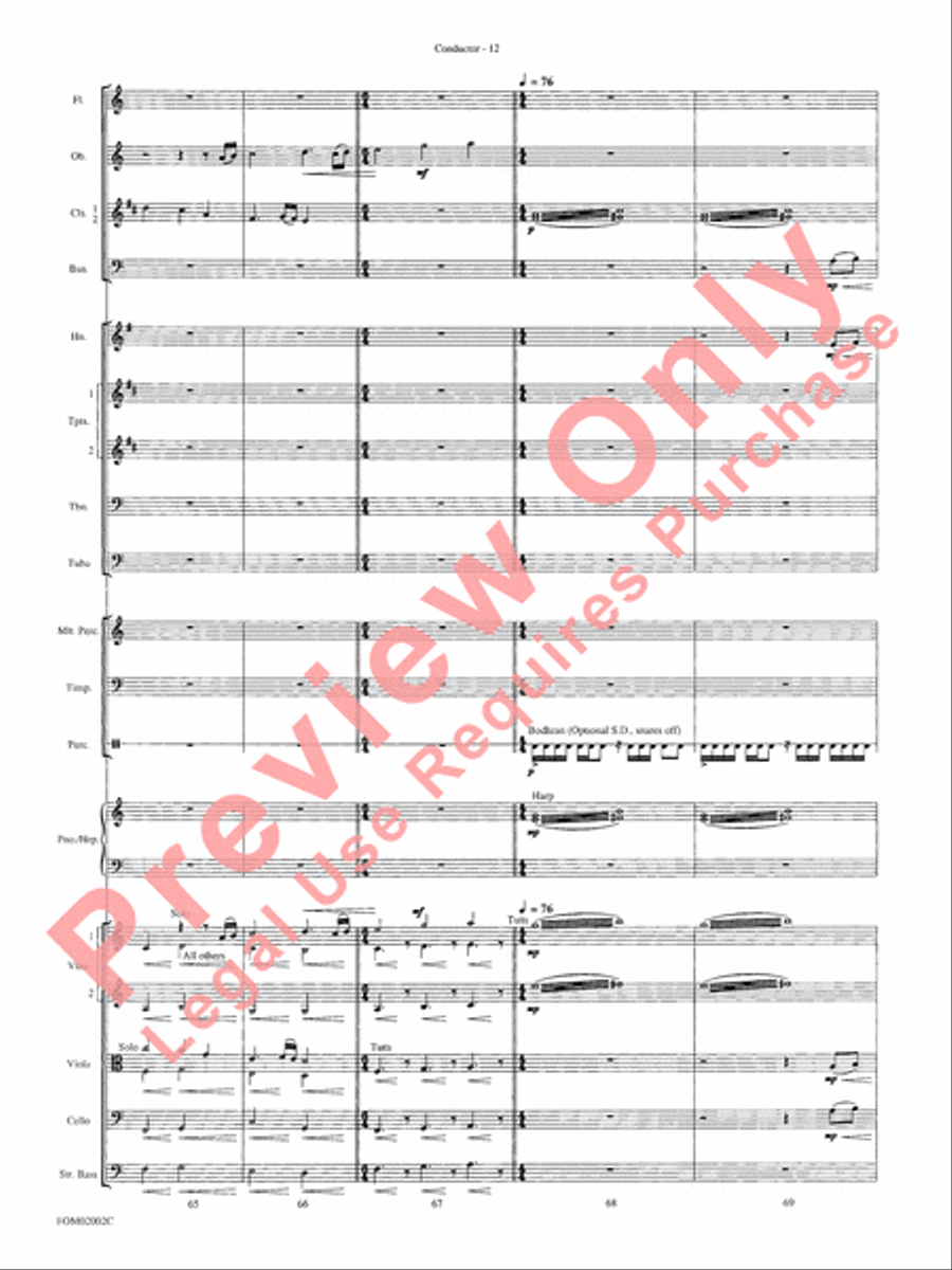 The Lord of the Rings: The Fellowship of the Ring Full Orchestra scores gallery preview page 15