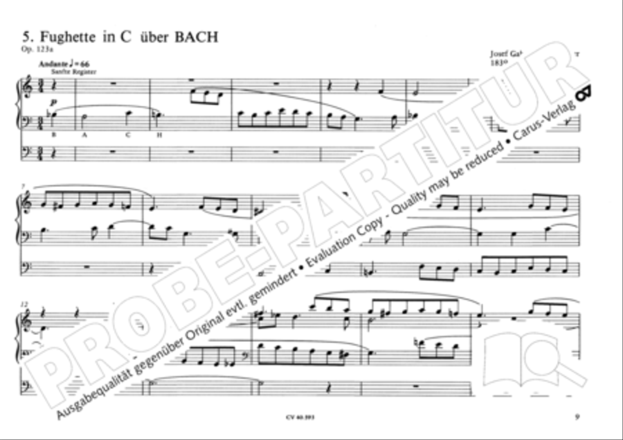 Free Organ Music from the Romantic Period, Vol. I (Freie Orgelmusik der Romantik, Band I) Organ scores gallery preview page 14