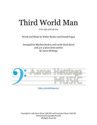 Book cover for Third World Man