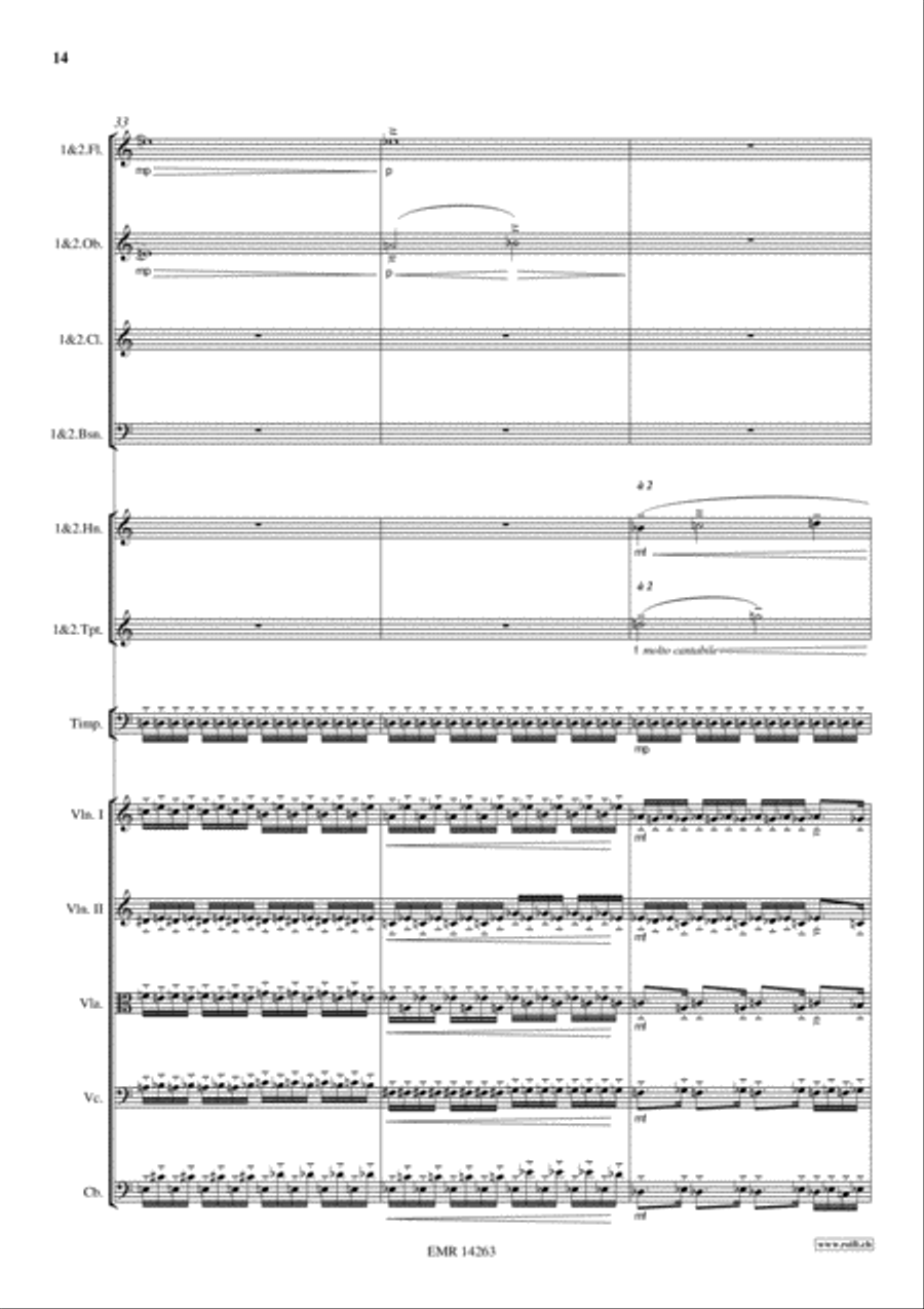 Sinfonietta Festive Sinfonietta Festive Orchestra scores gallery preview page 14