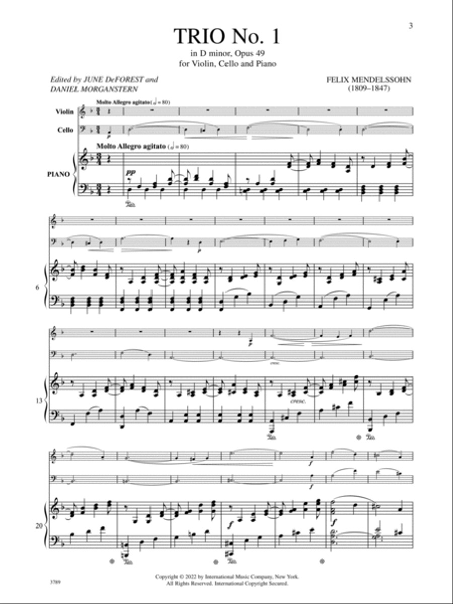 Trio No. 1 in D minor, Opus 49 Piano Trio scores gallery preview page 2