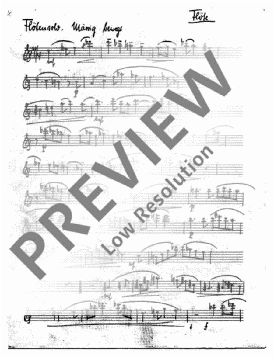 Evening Concert Flute Solo scores gallery preview page 5