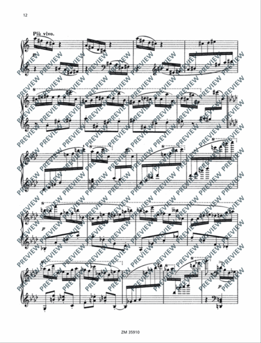 Charakterskizzen Piano Solo scores gallery preview page 13