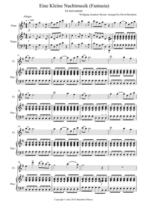 Eine Kleine Nachtmusik (Fantasia) 1st Movement for Flute and Piano