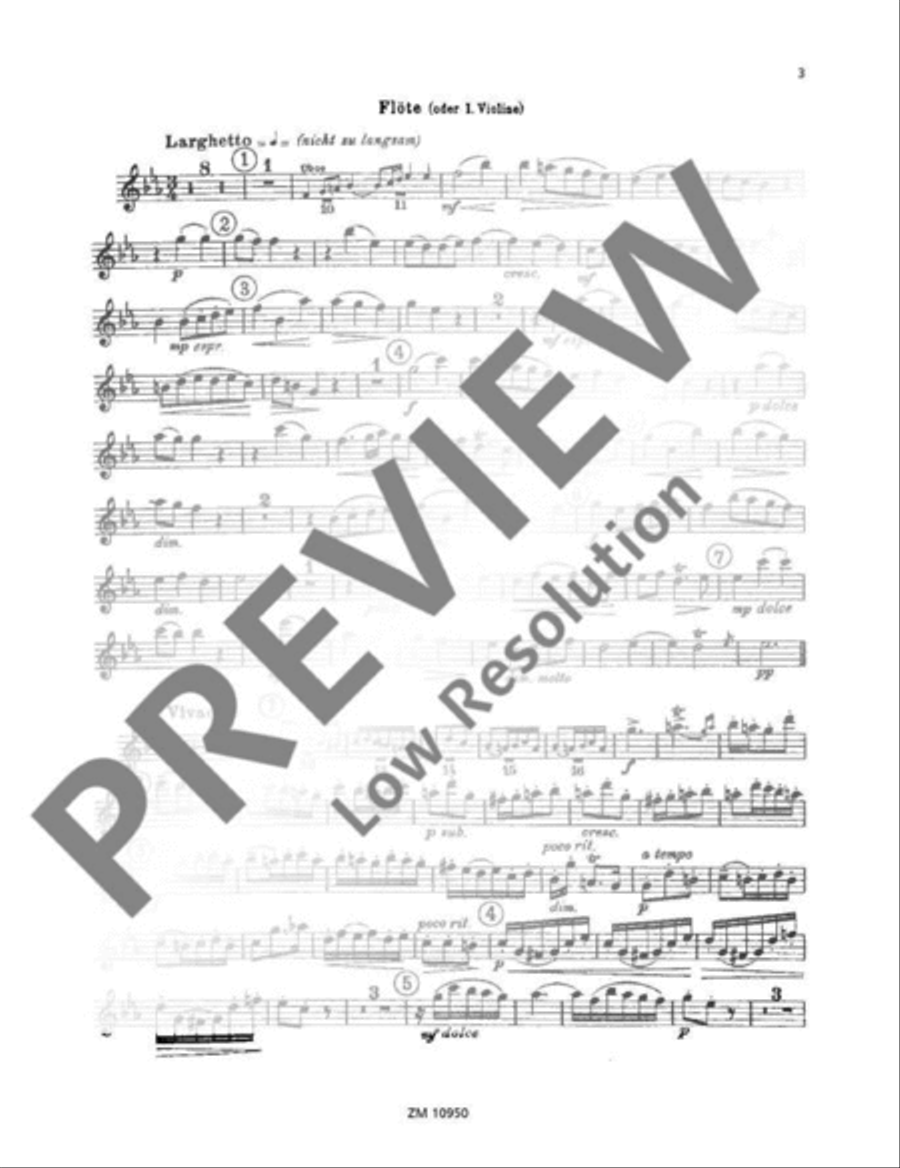 Trio Sonata C minor Flute scores gallery preview page 19