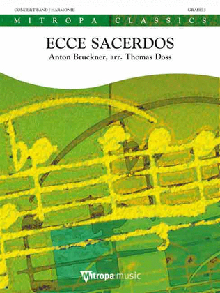Book cover for Ecce sacerdos