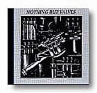 Book cover for Nothing But Valves