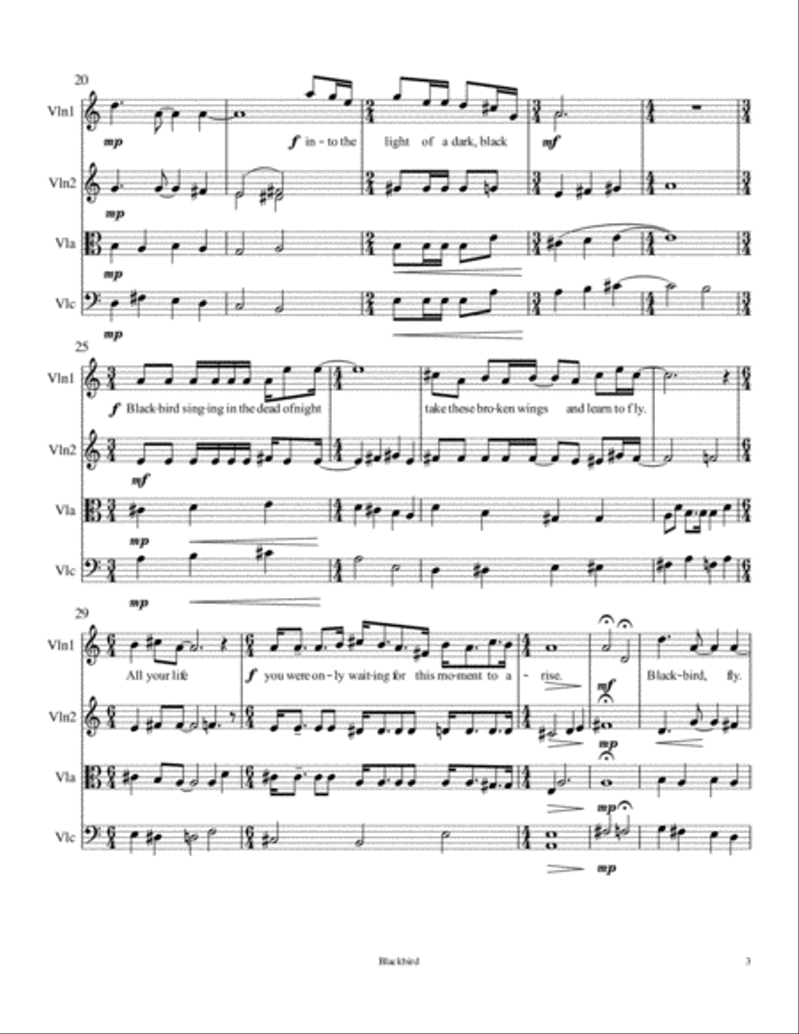 Blackbird Blackbird String Quartet scores gallery preview page 3