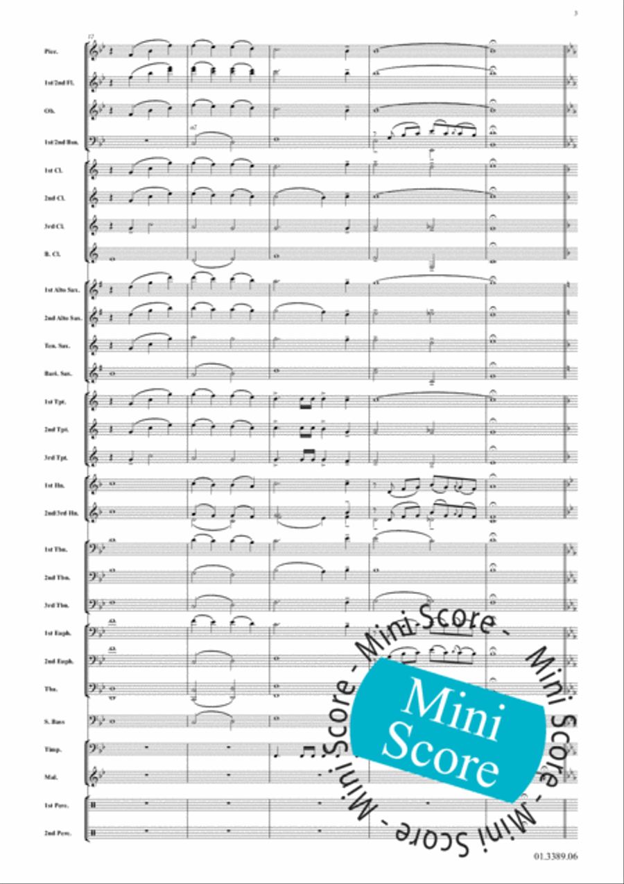 Moby Dick Concert Band scores gallery preview page 7