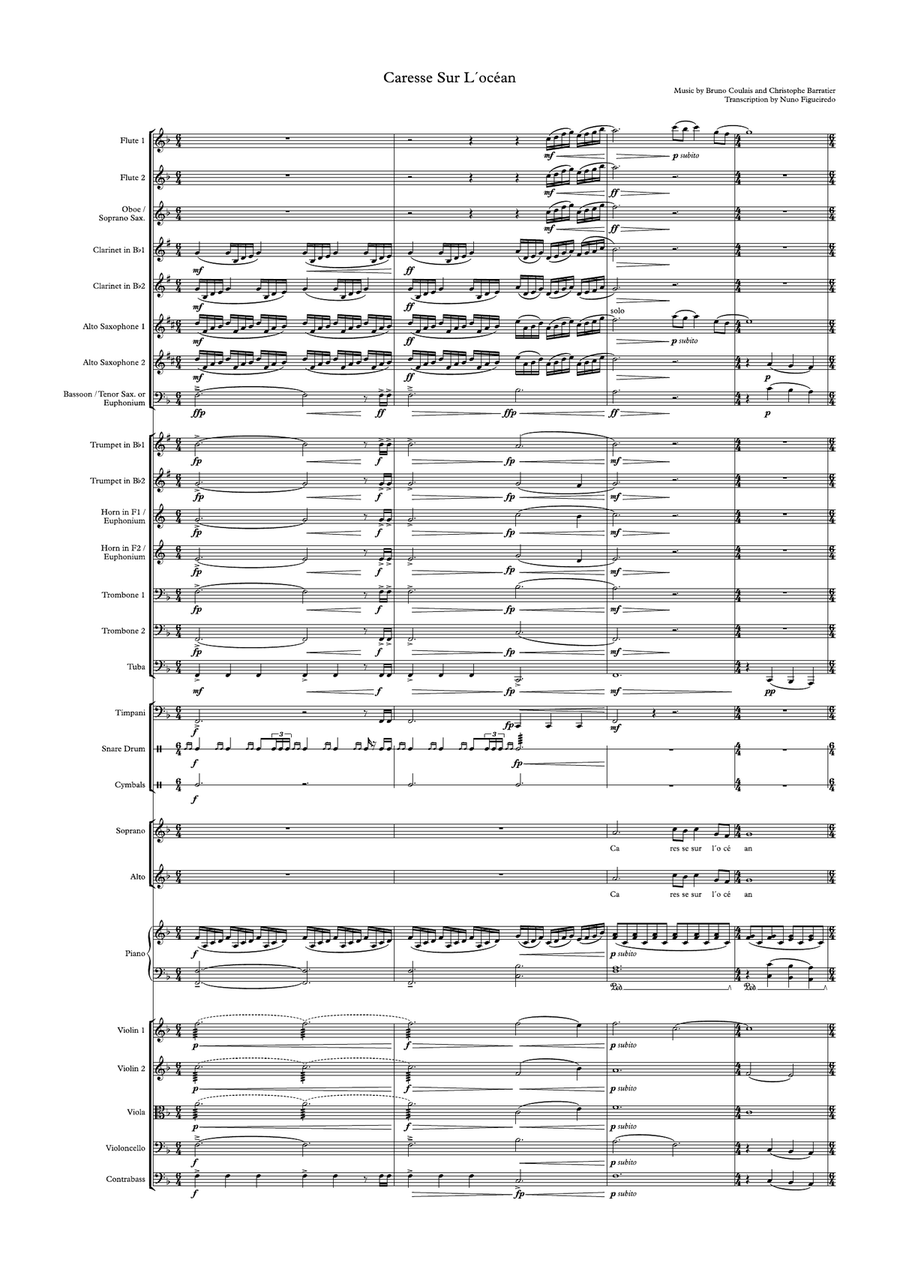 Caresse Sur L'océan Caresse Sur L'océan Chamber Orchestra scores gallery preview page 4